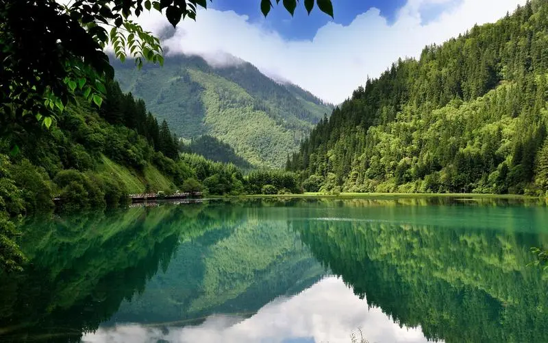 先进高端